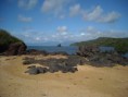 /album/galerie-de-photos-voyages1/a18-pointe-de-la-peninsule-de-bimbini-depuis-l%27%c3%aelot-de-la-selle%285%29-jpg/